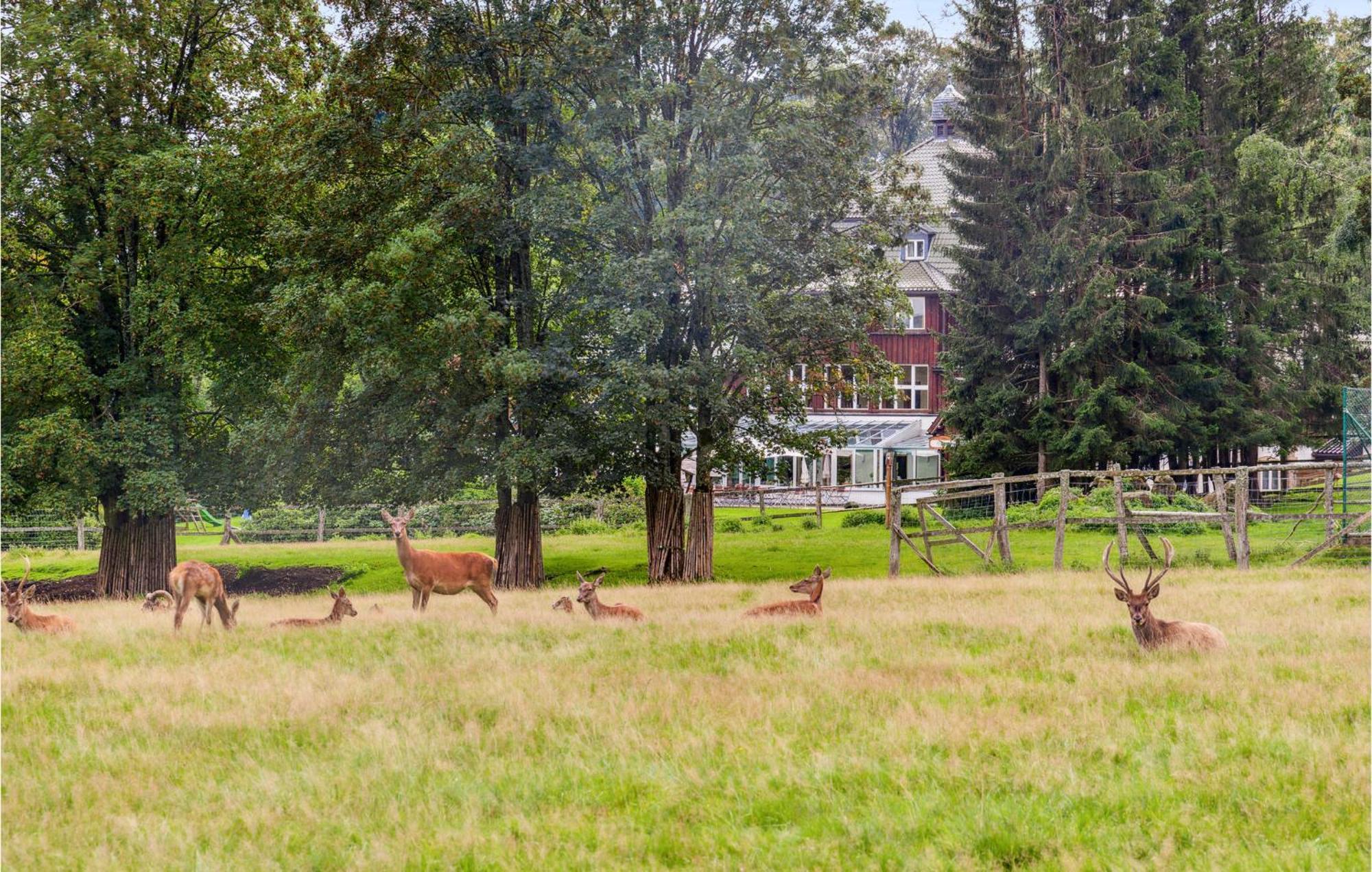 Stunning Home In Oberharz With Wifi Benneckenstein Zewnętrze zdjęcie
